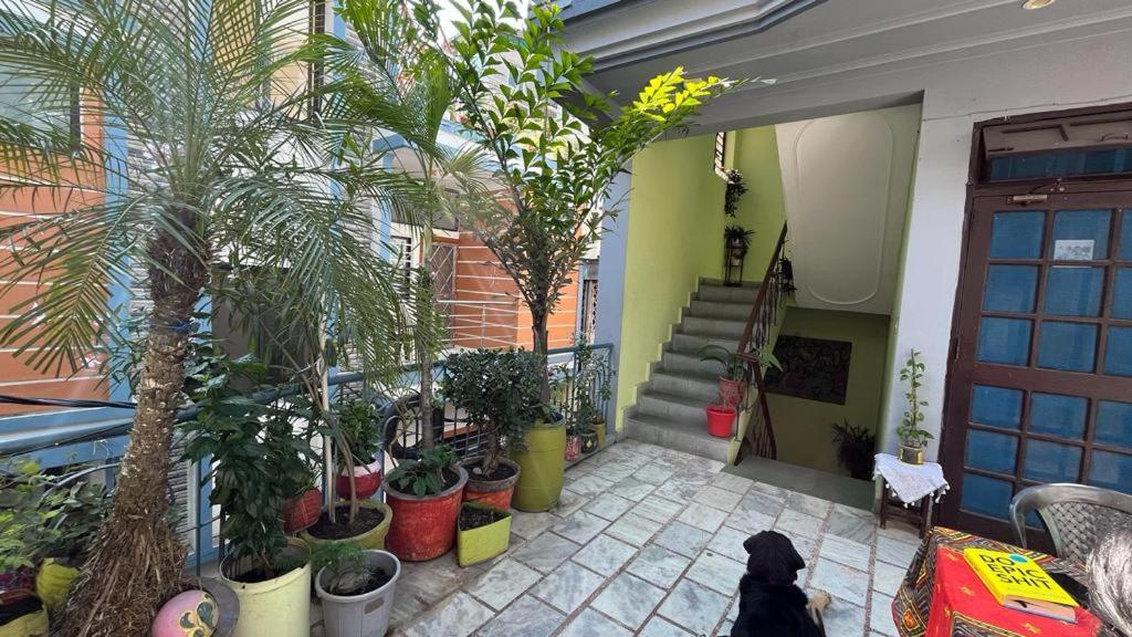 Gungun Homestay Rishīkesh Buitenkant foto