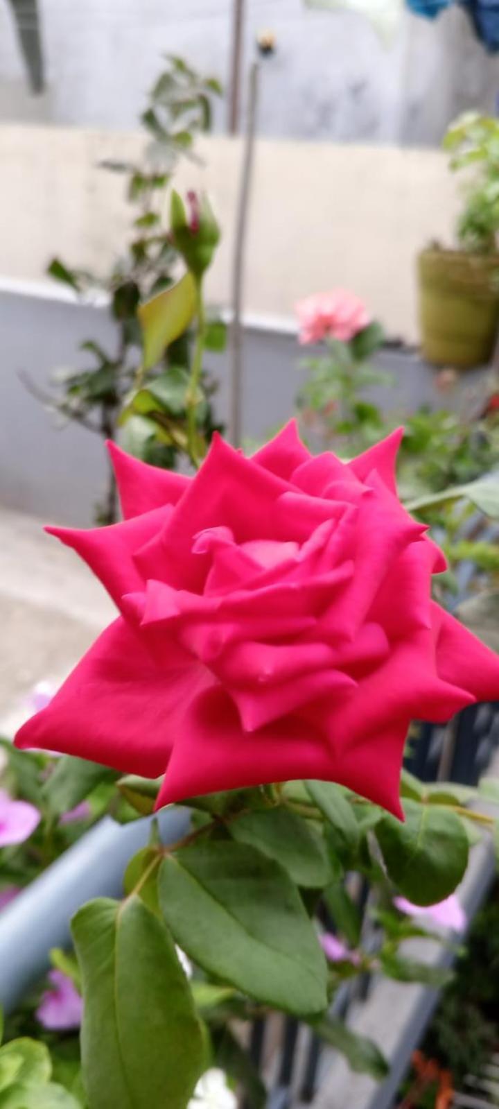 Gungun Homestay Rishīkesh Buitenkant foto